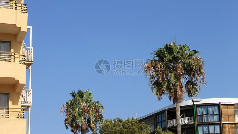 主流订房APP盘点：功能与特色